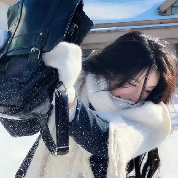 螳螂捕蝉